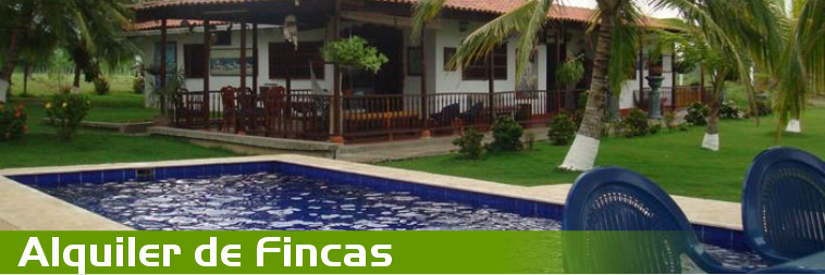 Imagen responsiva